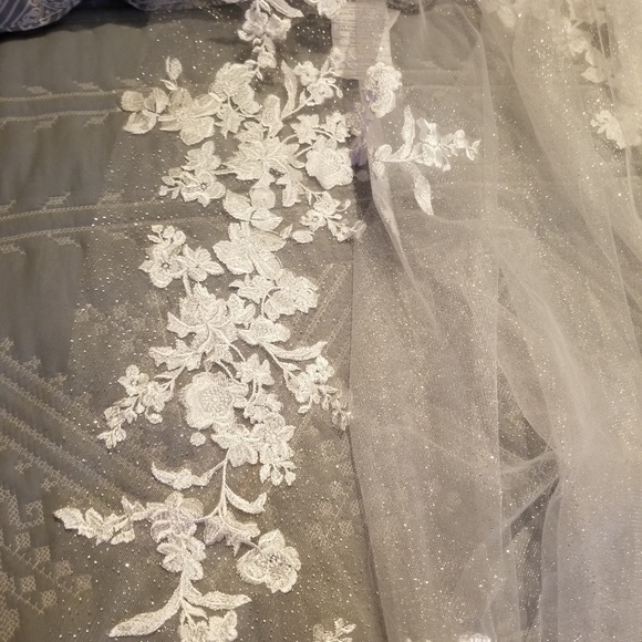 White silver dusty sparkles veil main image 4